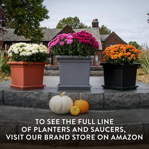 Miniatura 8 de The HC Companies Maceta cuadrada Accent con drenaje – Macetas clásicas para plantas de exterior y plantas de interior – Maceta cuadrada ligera