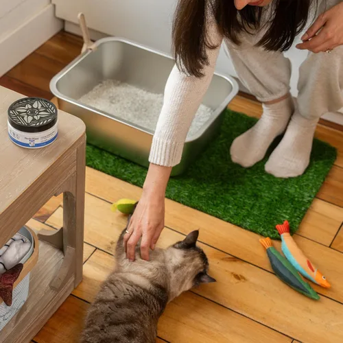 Miniatura 8 de Fresh Wave Gel de caja de arena para eliminar olores, 7 onzas Eliminador de olores de mascotas más seguro para el hogar y área de caja de arena