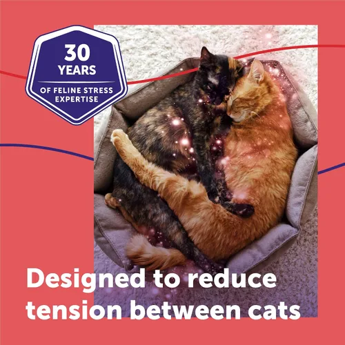 Miniatura 4 de FELIWAY MultiCat - Kit de difusor calmante para gatos y 6 paquetes de recambio, ayuda a reducir la lucha, la tensión y la agresión entre gatos