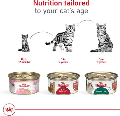 Miniatura 6 de Royal Canin Feline Health Nutrition - Alimento instintivo para adultos, rebanadas finas en salsa para gatos, 3 onzas (paquete de 18)