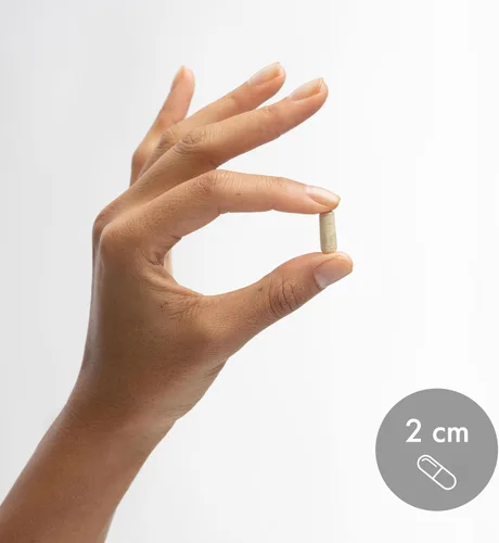 Miniatura 7 de Dr. Mercola Zinc Plus Selenio - Suplemento de mezcla mineral - para apoyo inmunológico, cerebral y respiratorio - Contiene quelato de glicinato
