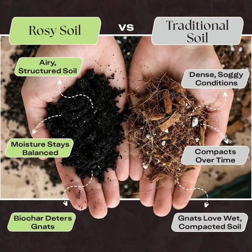 Miniatura 3 de Rosy Soil Alimento vegetal – Fertilizante microbialmente activo para plantas de interior, hierbas y flores – Biochar, algas, fundición de gusanos