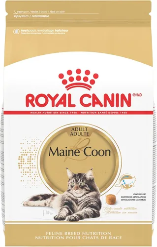 Royal Canin Feline Breed Nutrition Maine Coon Alimento seco para gatos adultos, bolsa de 6 libras