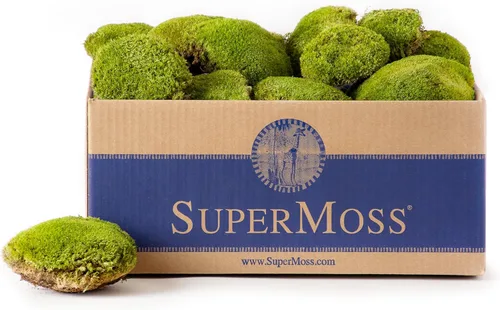 SuperMoss Topa Moss - Decoración ecológica preservada para el hogar y la pared para terrarios, mesas de boda, macetas de interior y más, 1564