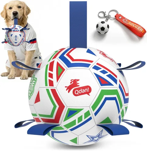 Miniatura 22 de QDAN Pelota de fútbol para perros con correas, juguetes interactivos de forcejeo, juguete de cumpleaños para cachorros, juguete acuático, para rojo