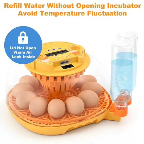 Miniatura 6 de Incubadora de huevos para incubar pollitos, volteador automático de huevos con capacidad para 12 huevos, incubadora inteligente con ventana