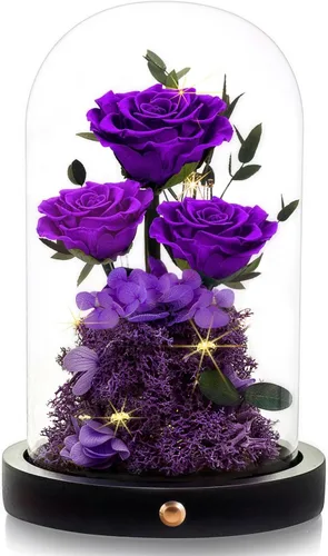 DENIMOMO Rosas para el día de la madre, rosas preservadas moradas en cúpula de cristal, rosas reales para el día de la madre, regalos para esposa,