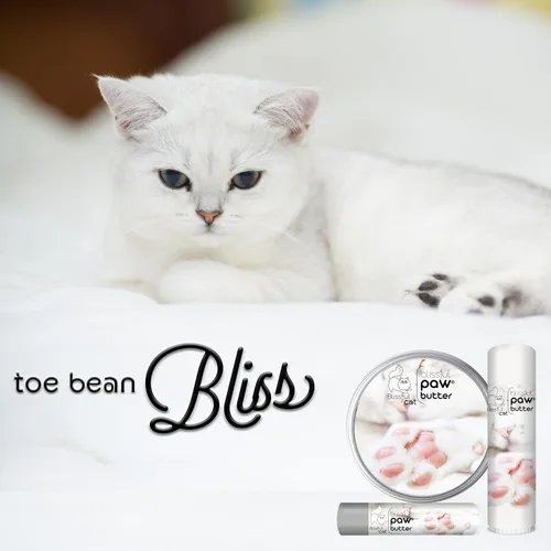 Miniatura 5 de La Mantequilla para Patas de Gato Blissful, Hidratante para Almohadillas de Patas Secas, Suaviza y Protege Pies Ásperos, Bálsamo Versátil y Seguro