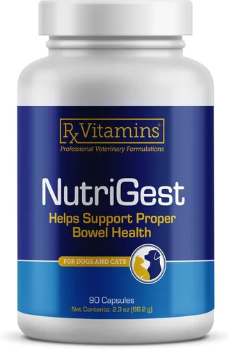 Rx Vitamins NutriGest Cápsulas para gatos y perros - Probióticos para la salud digestiva mejorados con glucosamina para apoyo a la salud intestinal
