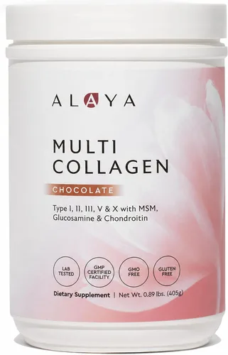Alaya - Polvo de colágeno múltiple - Suplemento de proteína en polvo de péptidos de colágeno hidrolizados tipo I, II, III, V, X, con MSM + GC