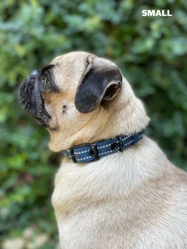 Miniatura 8 de Tuff Pupper Collar de perro resistente con asa Collar de nailon balístico resistente Collar de perro acolchado reflectante con hardware Azul