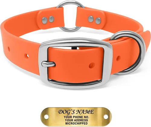 Regal Dog Products Collar de Perro Naranja Mediano con Placa de Nombre Grabada Personalizada - Ajuste Personalizado, Resistente, Fácil de Limpiar