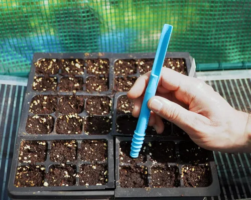 Dibby Semillas Herramienta de jardín Dibber Plantador Transplantador – Siembre semillas a la profundidad correcta – Trasplante fácilmente las Azul