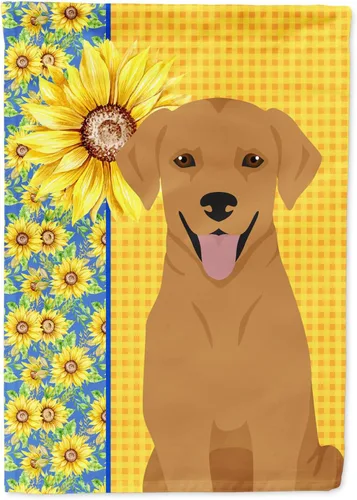 Miniatura 123 de Caroline's Treasures WDK5331CHF - Bandera de verano con diseño de girasoles rojos y blancos, manga grande, para porche, para colgar en la pared