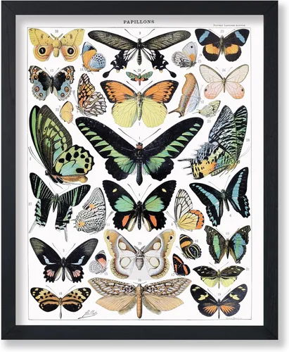 Miniatura 61 de Poster Master Póster vintage de miel, impresión retro de La Vie De L'Abeille, arte de panal de abeja, arte de pared de abeja, regalo para hombres