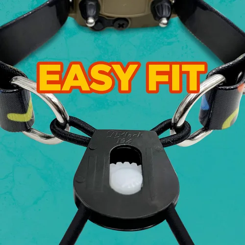 Miniatura 4 de Dogtra Tom Davis Collar Bungee Cómodo de fácil ajuste Compatible con Tom Davis Edición 280C Collar de entrenamiento para perro E-Collar Receptores