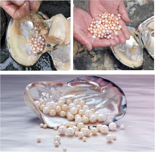Miniatura 7 de U7 Collares de perlas para hombres y mujeres, hebra de perlas cultivadas en agua dulce, perlas sintéticas, collar de perlas barrocas, collar