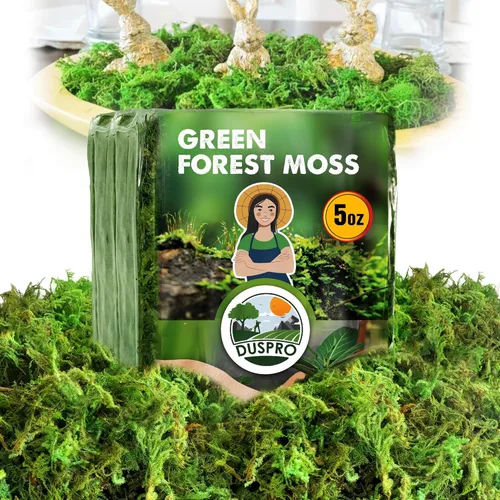 Miniatura 11 de DUSPRO Musgo Verde Mejorado para Manualidades, Musgo Real de Bosque en Plantas en Maceta, Musgos Decorativos para Centros de Mesa de Boda, Navidad
