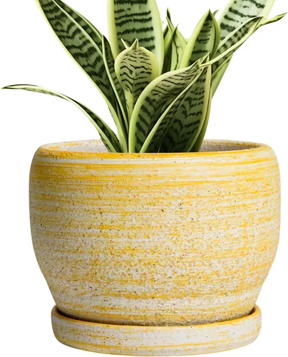 Miniatura 25 de SQOWL Macetas de cerámica – Maceta de 6 pulgadas con orificio de drenaje y bandeja, maceta redonda para plantas de interior, maceta decorativa