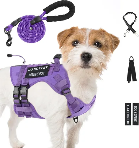 Miniatura 21 de Arnés táctico sin tirones para perros grandes, juego de arnés y correa para perro, Molle a prueba de escapes, arnés ajustable para perro de servicio
