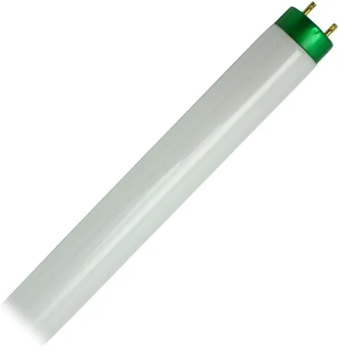 Philips 479626 - Bombilla fluorescente F32T8/TL941/ALTO de 4 pies más recta T8