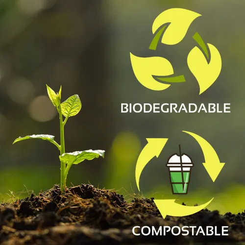 Miniatura 4 de Planet+ Tapas de ácido poliláctico 100% compostables para vasos fríos transparentes de 9/12/16/20/24 onzas, estilo plano, estuche de 1000