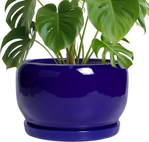 Miniatura 64 de SQOWL Macetas de cerámica – Maceta de 6 pulgadas con orificio de drenaje y bandeja, maceta redonda para plantas de interior, maceta decorativa