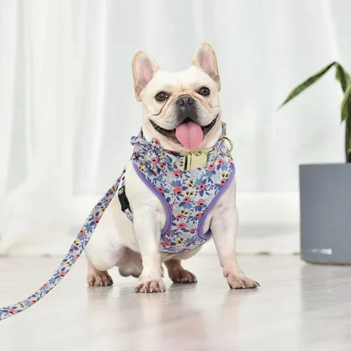 Miniatura 6 de Beirui Collares, arneses y correas para perritas lindas - Juego de collar y correa ajustable para perros con flor - Chaleco arnés de malla suave Azul