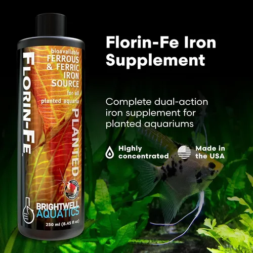 Miniatura 2 de Brightwell Aquatics Florin-Fe Suplemento de hierro para acuarios plantados - Fuente de hierro de doble acción para el crecimiento de las plantas