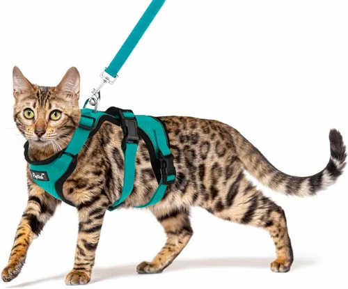 Miniatura 9 de PUPTECK Juego de arnés y correa para gato a prueba de escape para caminar, chaleco de malla transpirable arnés ajustable para gatos cachorros Negro