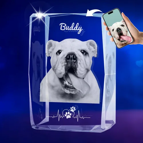 Marco de fotos de cristal 3D personalizado con luz nocturna para mascotas conmemorativo con mis fotos, regalo de aniversario de Navidad,