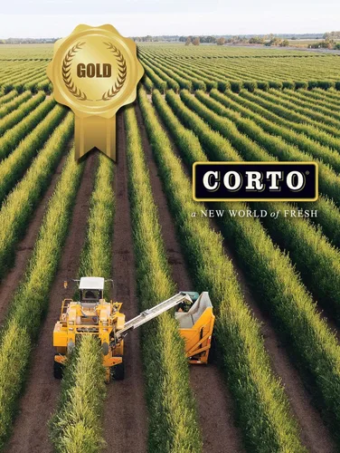 Miniatura 4 de Corto La Padella® Aceite de cocina de alto punto de humo. Mezcla de aceite salteado de grado chef con aceite de salvado de arroz, aceite de girasol