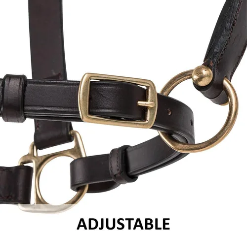 Miniatura 6 de Dura-Tech Premier Lancaster - Cabestro de cuero para caballos Cabestro de cuero económico simple con ajuste ajustable y herrajes de latón macizo