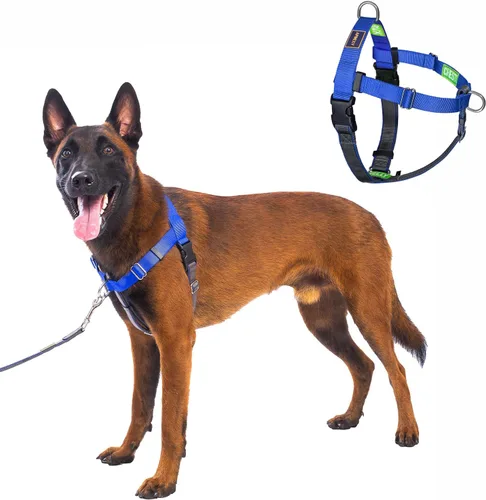 Miniatura 9 de Freedom - Arnés para perro sin tirones, fácil de caminar, deja de tirar con dos anillos en D de acero inoxidable, cómodo, etiquetas de instrucciones