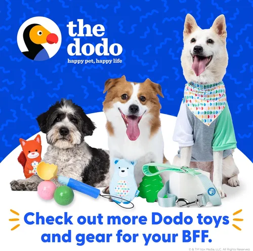 Miniatura 7 de The Dodo Woodland Animals - Juego de 2 juguetes para perros sin relleno: oso y árbol; juguete para perros sin peluche chirriante + juguete Oso