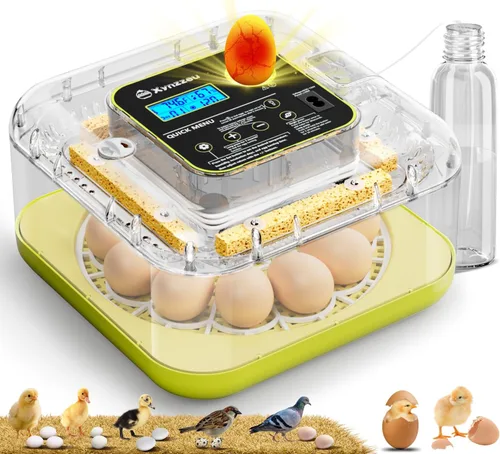 Incubadoras de huevos para incubar huevos, incubadora de 12 huevos con giro automático de huevos y control de humedad, incubadora para huevos de