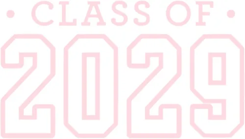 Miniatura 27 de Class of 2029 Iron On Decal, Senior Class Shirt Patch, Heat Transfer, HTV Graphic Tshirt Sticker, DIY Crafts, Pick Size Color, Iron-On Almost Old