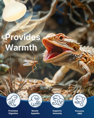 Miniatura 3 de FLSNT Paquete de 2 bombillas de lámpara de calor para reptiles, 75 W para anfibios, dragón barbudo, lagarto, tortuga, gecko
