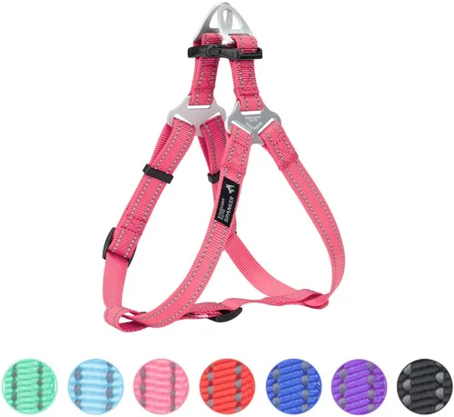 Miniatura 10 de EXCELLENT ELITE SPANKER Arnés sin tirones ajustable de nailon fácil de poner, correa para el pecho con reflectante y anillo de correa para perros