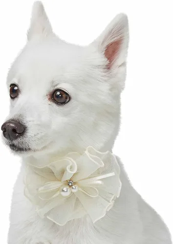Miniatura 11 de Blueberry Pet My Little Princess - Collar ajustable para perro con malla bordada y corbatín, azul bebé, talla S