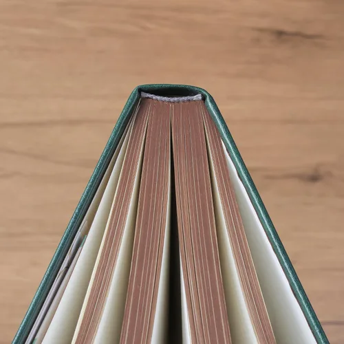 Miniatura 5 de ZXHQ - Cuadernos de diario A5 de 360 páginas a rayas con bolígrafo, para mujeres y hombres, cuaderno de escritura, diseño de árbol de la vida, Verde