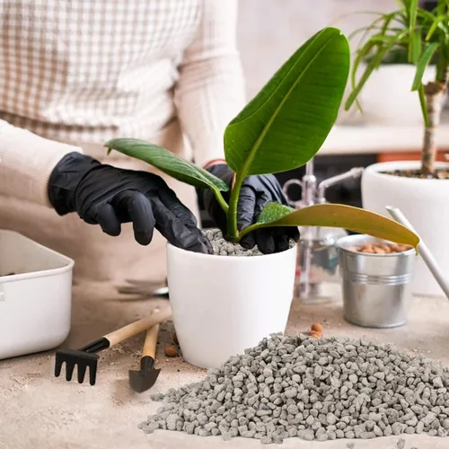 Miniatura 5 de Piedra Pómez Hortícola Sukh - Piedra Pómez para Plantas Suculentas Cactus Bonsái Orquídea Enmienda de Suelo 410g
