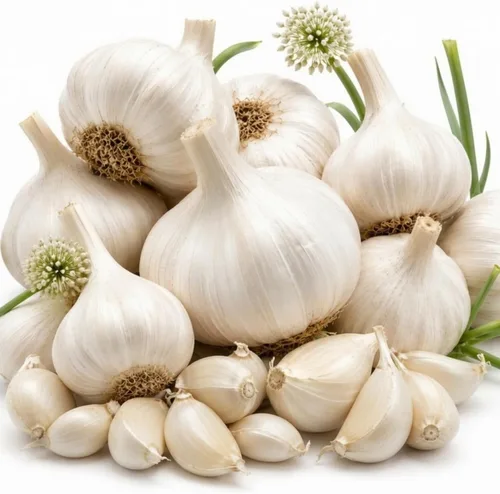 Ajo de 1 libra para plantar en otoño, cuello duro, 8-10 bulbos de ajo rojo Chesnok para plantar, paquete variado de bulbos frescos y de alto