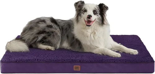 Miniatura 16 de EHEYCIGA Cama ortopédica de espuma para perros grandes, 35 pulgadas de largo x 23 pulgadas de ancho x 3.5 pulgadas de alto, gris claro