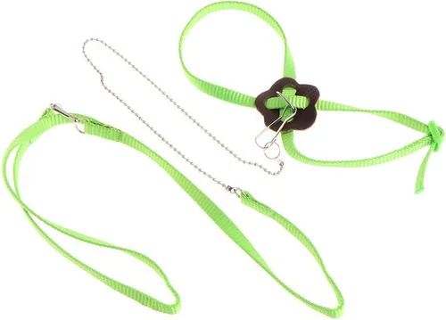 Miniatura 4 de Adjustable Bird Harness 3.94 Ft Long Leash Kit Outdoor Flying Training Rope for Small Birds Parrots Anti Toys African Grey for Small Parrots for