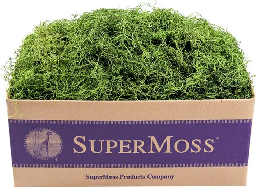 SuperMoss Musgo Español Conservado, Verde césped