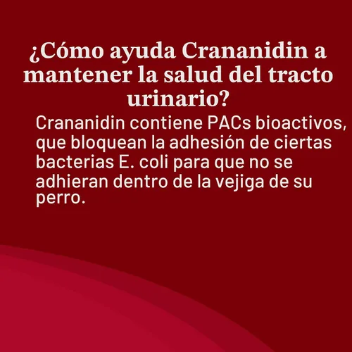 Miniatura 9 de Nutramax Laboratories Crananidin Extracto de Arándano Suplemento para la Salud del Tracto Urinario para Perros, 75 Tabletas masticables