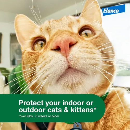 Miniatura 3 de Advantage XD Gato Grande Prevención y Tratamiento de Pulgas Para Gatos de más de 9 libras. 1 Dosis Tópica, 2 Meses de Protección Por Dosis