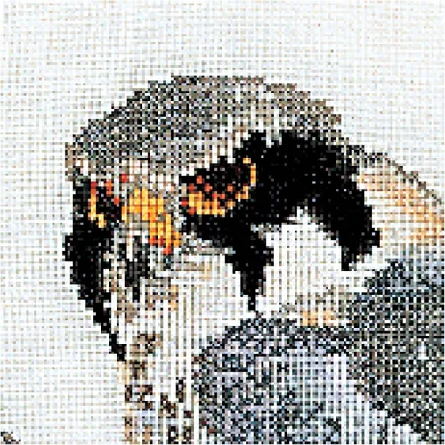 Miniatura 2 de Thea Gouverneur - Kit de punto de cruz contado - Falcons - Aida - 16 unidades - Kit de bordado para adultos - Hilos de bordado DMC y otros