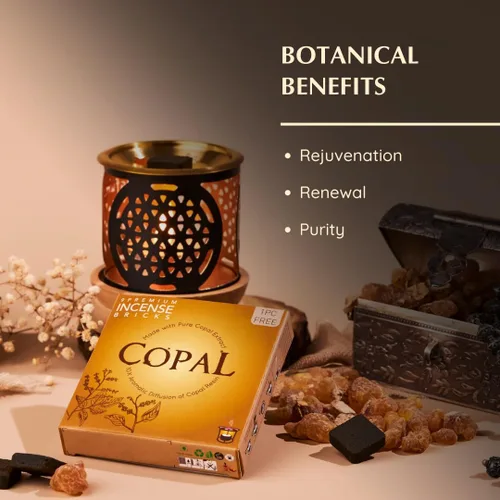 Miniatura 4 de Aromafume - Paquete de recambio de ladrillos de incienso Copal 3 bandejas x 9 ladrillos Copal de procio (Burseraceae) nativo de México Ideal
